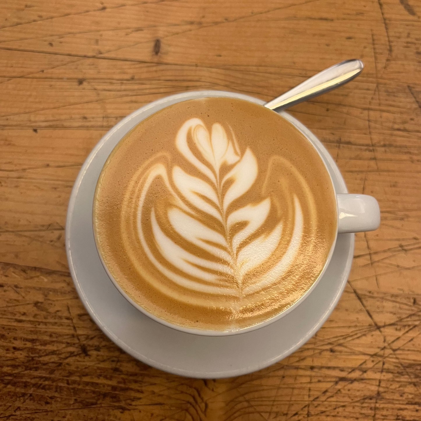 Latte Art Basic & Fortgeschritten Workshop