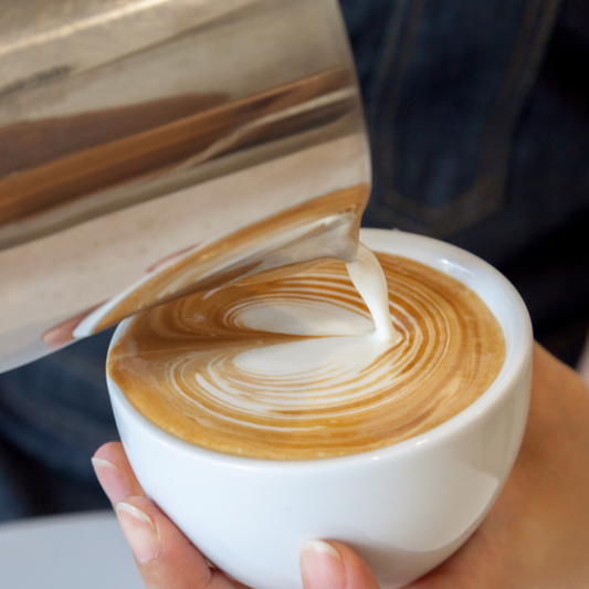 Latte Art Basic & Fortgeschritten Workshop